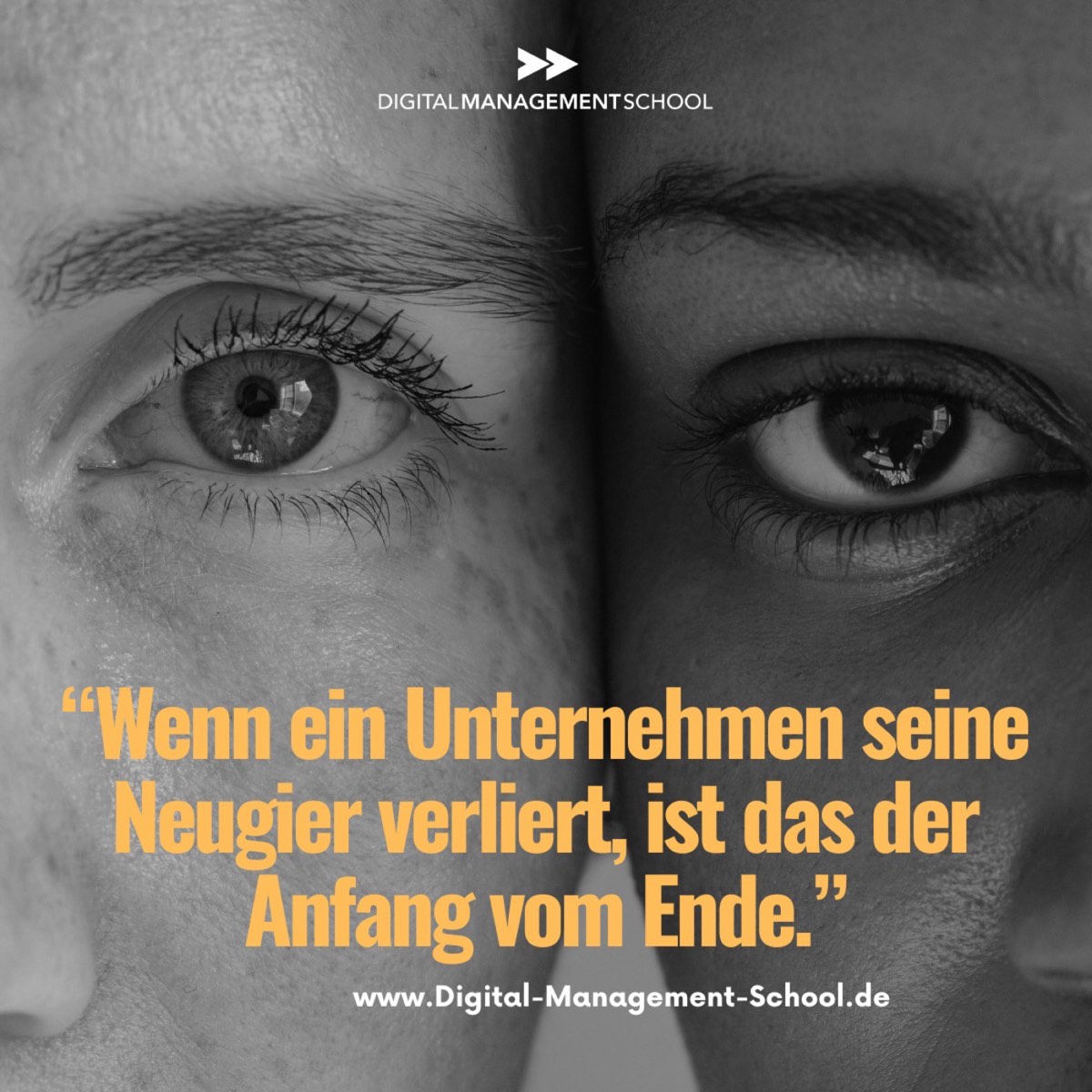 Wie neugierig ist Dein Unternehmen?